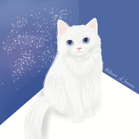 dream_of_bunny_studio