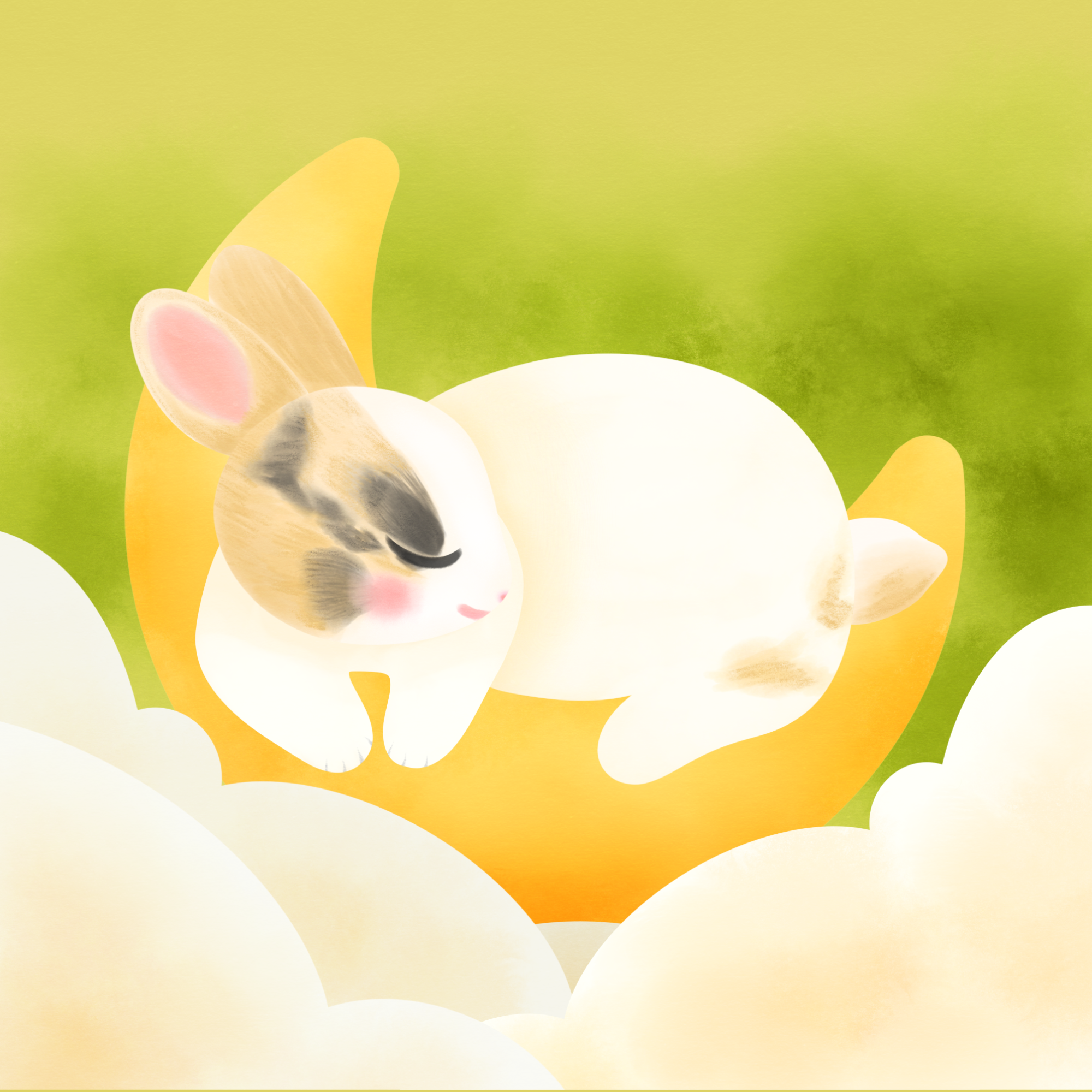 dream_of_bunny_studio