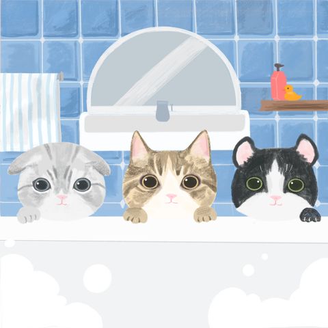 dream_of_bunny_studio