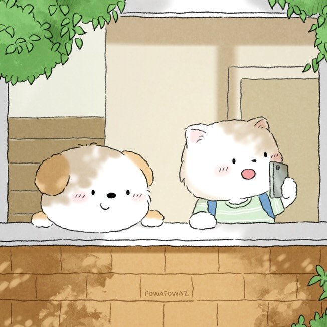 포와포와즈